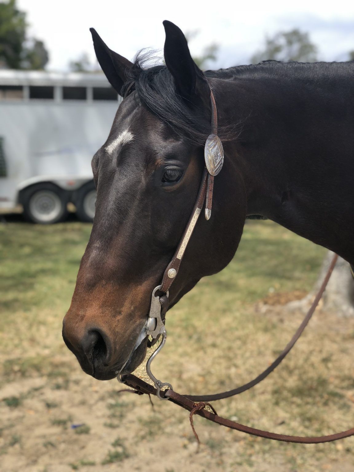 Michele Bloomquist, Trainer & Co-Founder